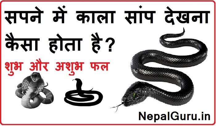 sapne me kala saap dekhna, sapne me kale saap ka katna, black snake in dream in hindi